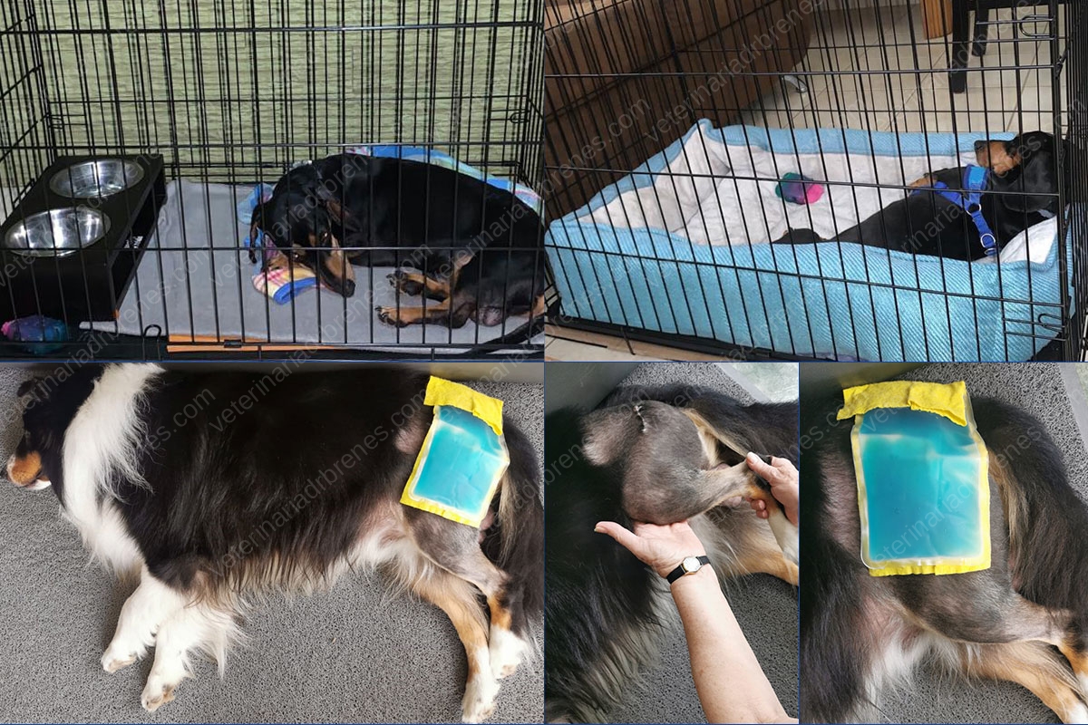 Recuperación tras una cirugía o lesión